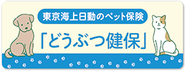 保険商品のご案内